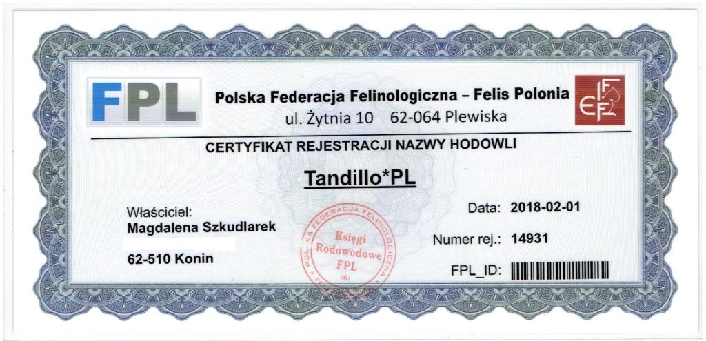 Tandillo.pl